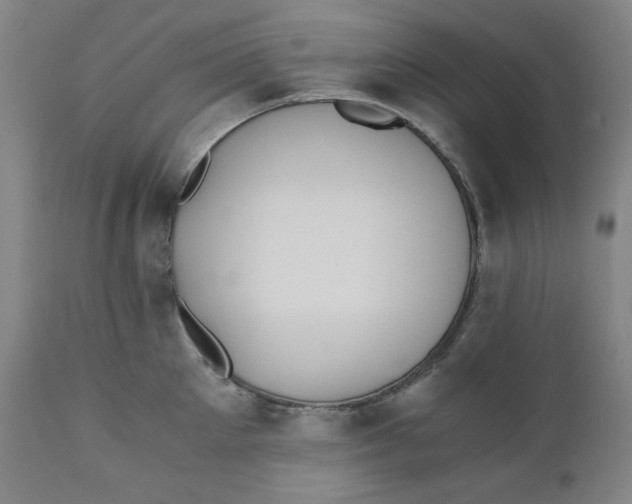 X0000110690905200907021930