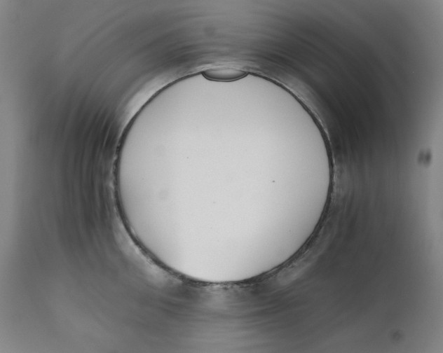 X0000110690906200907021930