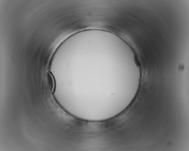 X0000110690908200907021930