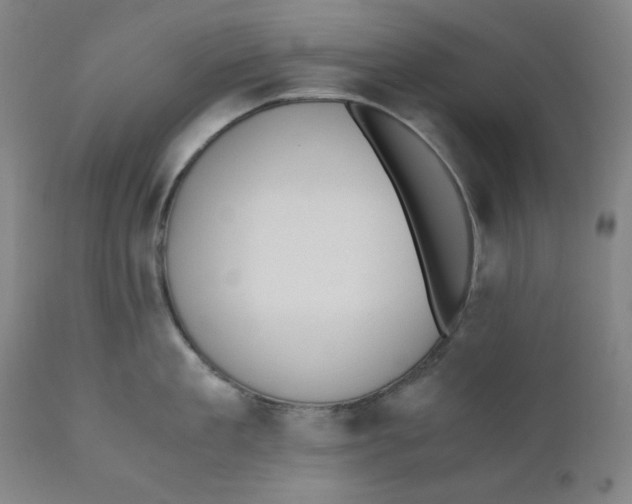 X0000110690909200907021930