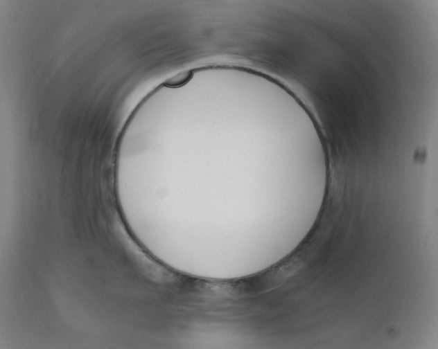 X0000110690911200907021930