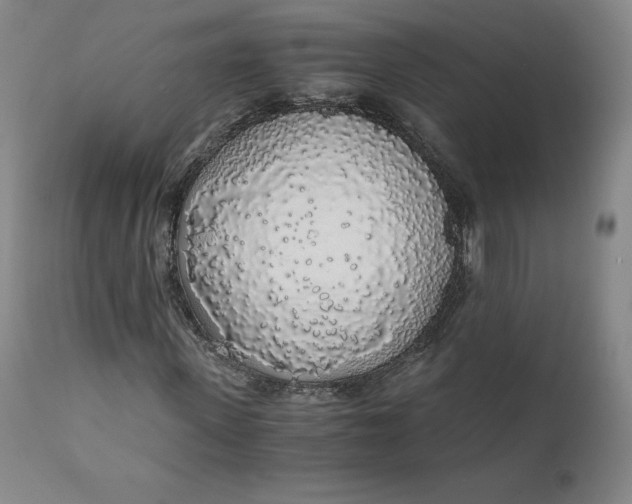 X0000110690915200907021930