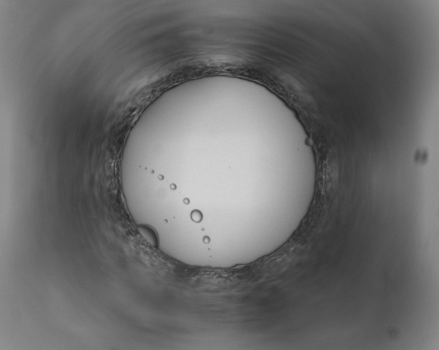 X0000110690917200907021930