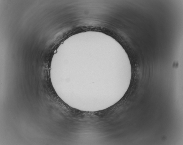 X0000110690918200907021930