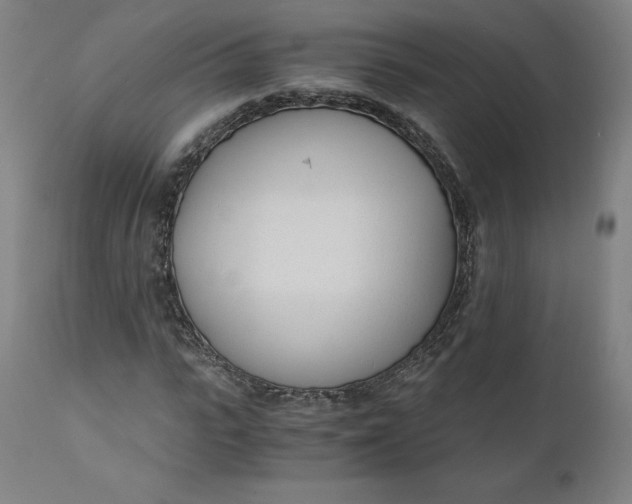 X0000110690919200907021930