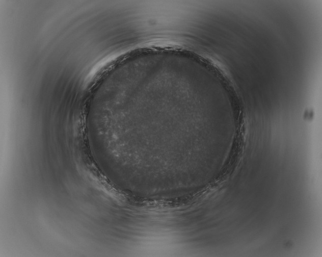 X0000110690920200907021930