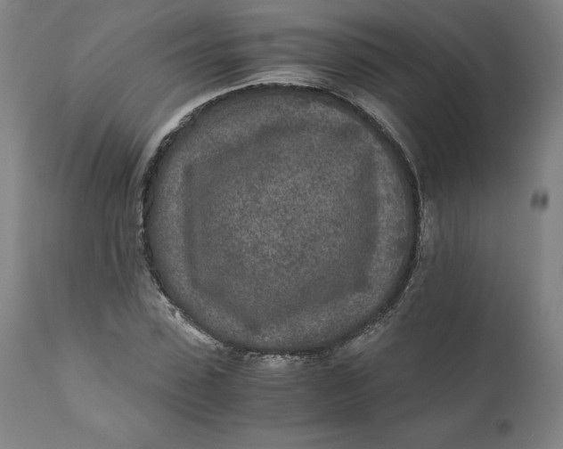 X0000110690923200907021930