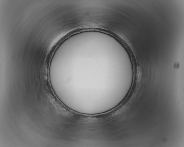 X0000110690925200907021930