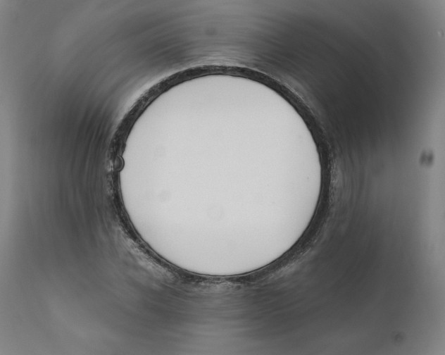 X0000110690926200907021930