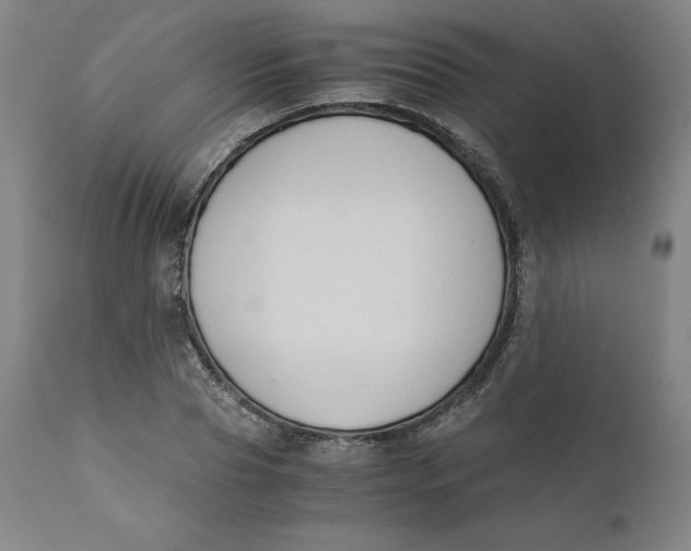 X0000110690929200907021930