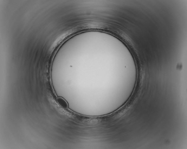 X0000110690930200907021930