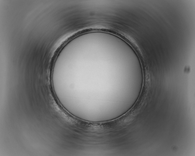 X0000110690935200907021930