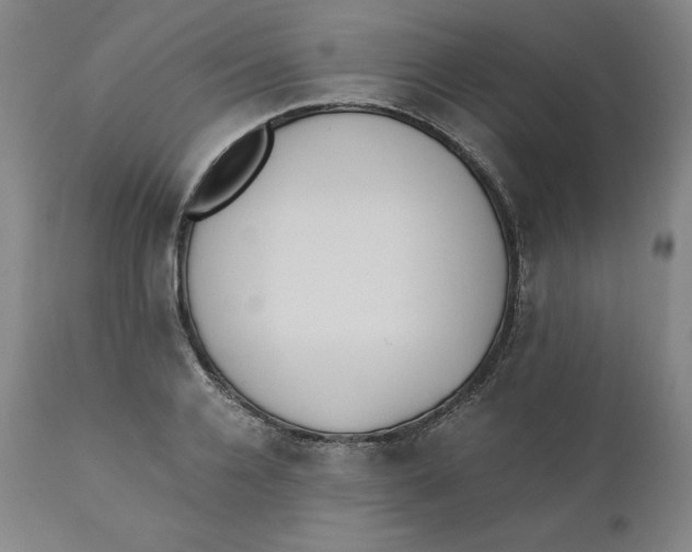 X0000110690936200907021930