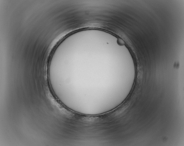 X0000110690939200907021930