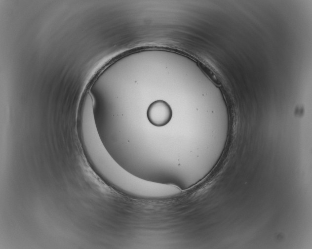 X0000110690940200907021930