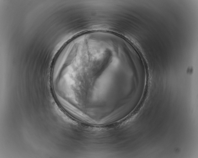 X0000110690941200907021930