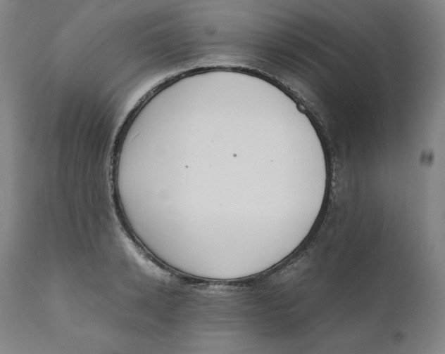 X0000110690942200907021930