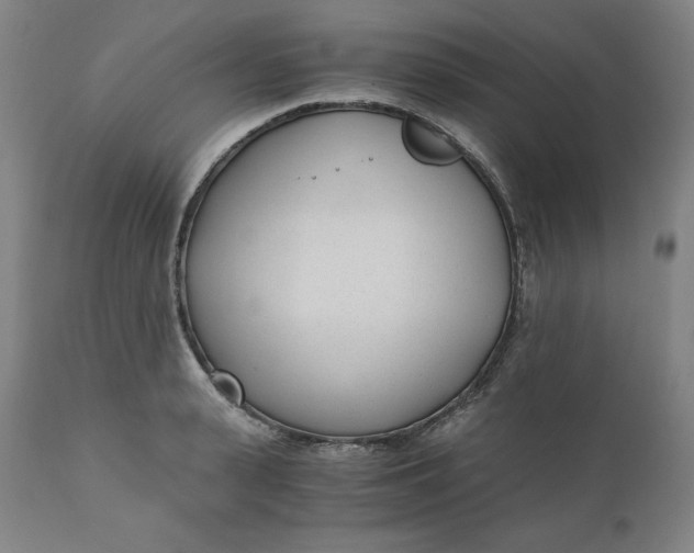 X0000110690943200907021930