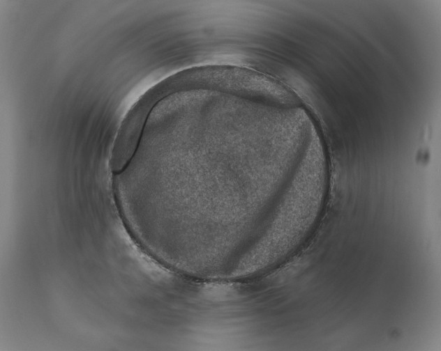 X0000110690944200907021930