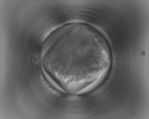 X0000110690945200907021930