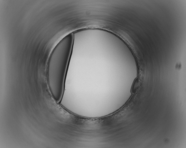 X0000110690948200907021930