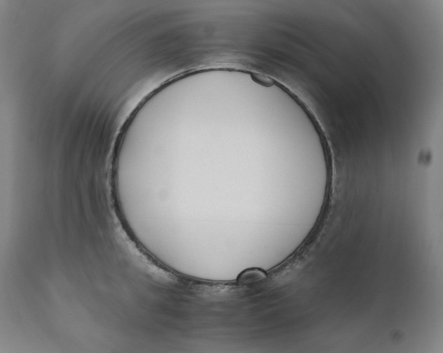 X0000110690949200907021930