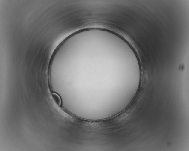 X0000110690951200907021930