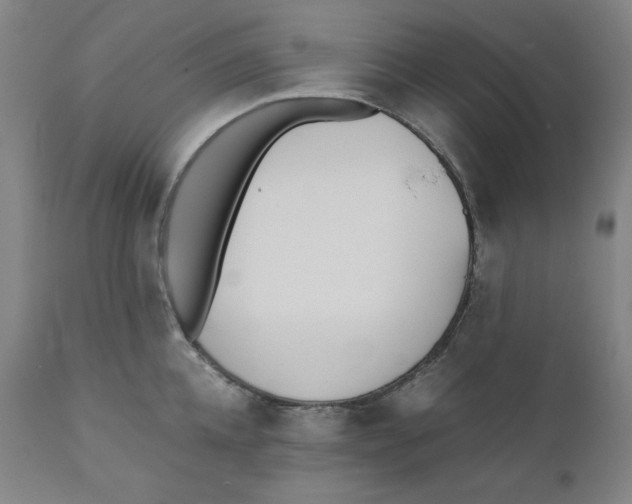 X0000110690952200907021930