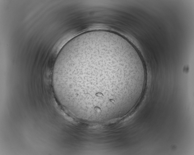 X0000110690953200907021930