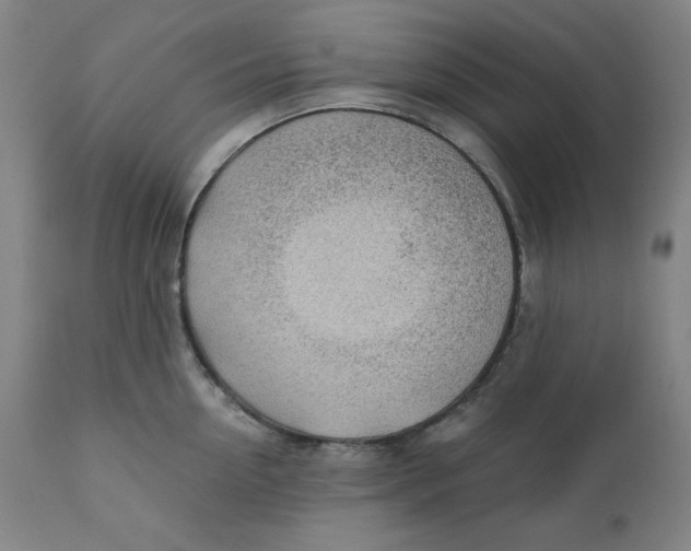 X0000110690954200907021930