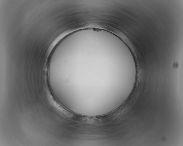 X0000110690955200907021930