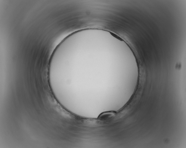 X0000110690956200907021930