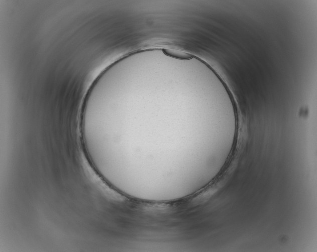 X0000110690957200907021930