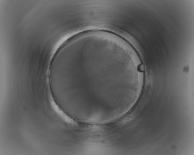 X0000110690958200907021930