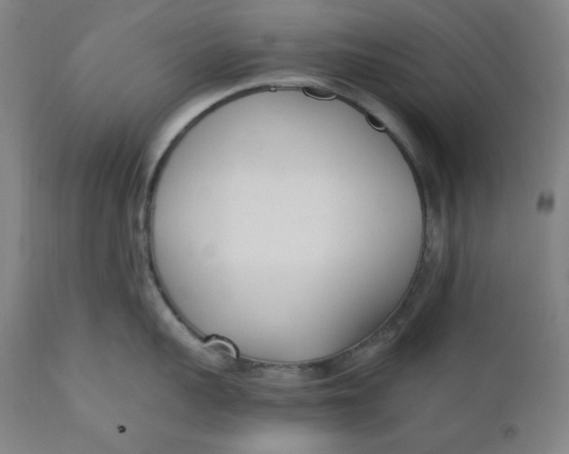 X0000110690959200907021930