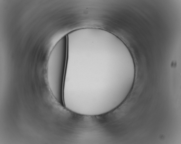 X0000110690960200907021930