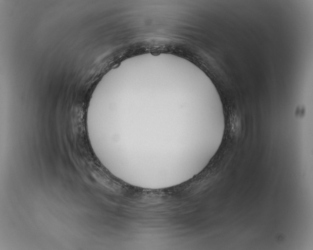 X0000110690964200907021929