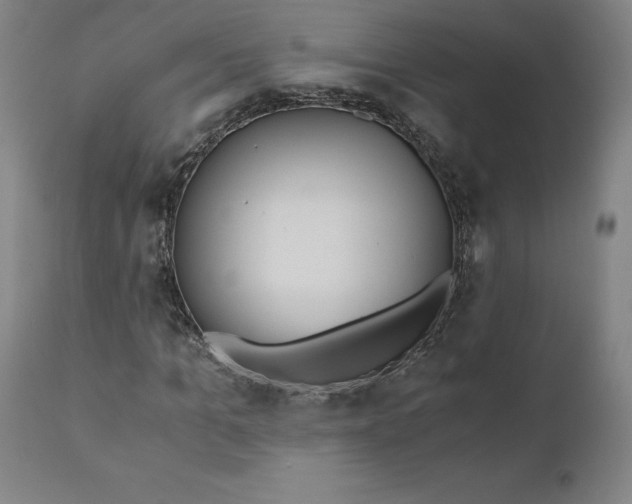 X0000110690965200907021929