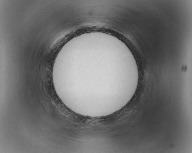 X0000110690967200907021929