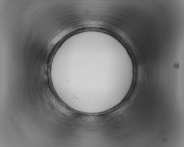 X0000110690970200907021929