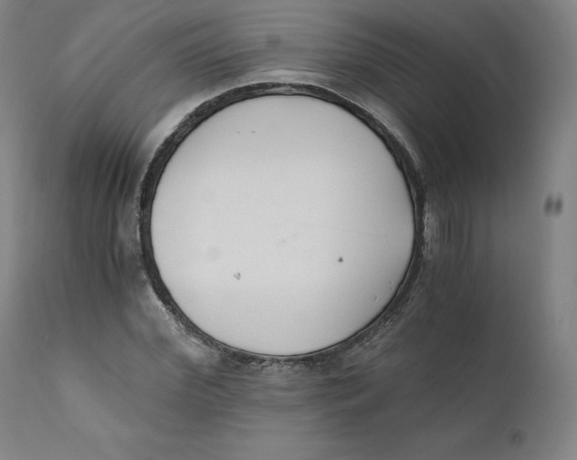 X0000110690972200907021929