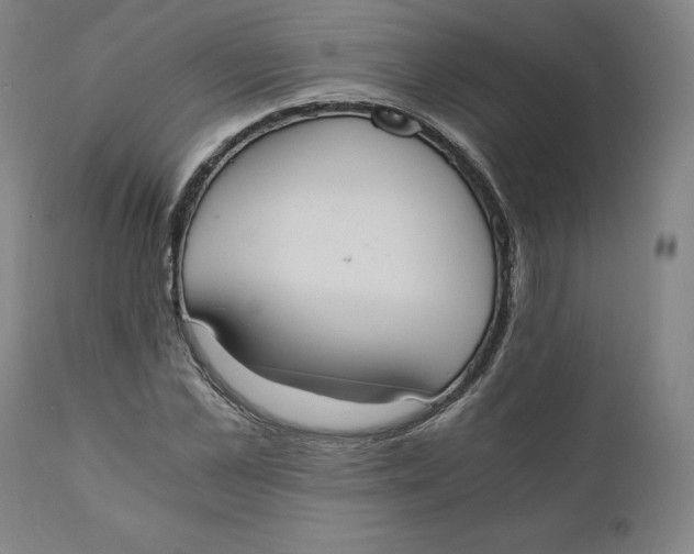 X0000110690973200907021929