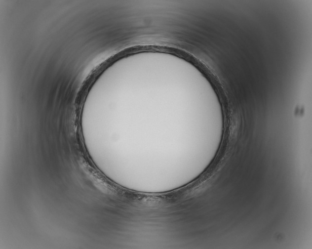 X0000110690974200907021929