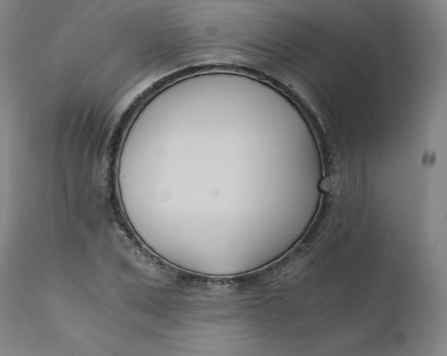 X0000110690975200907021929