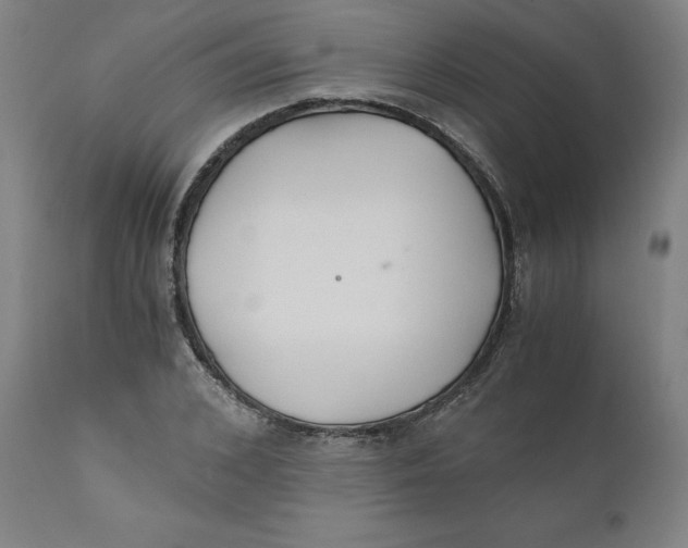 X0000110690976200907021929