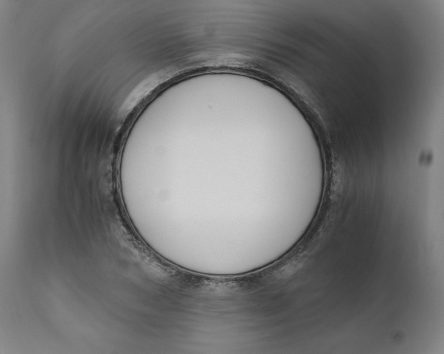 X0000110690978200907021929