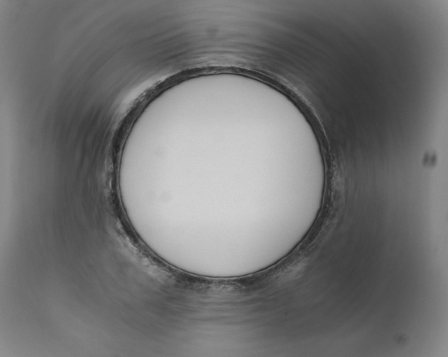 X0000110690979200907021929