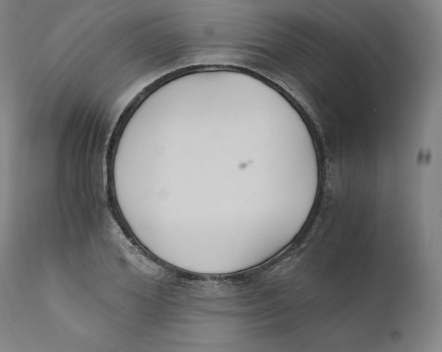 X0000110690980200907021929