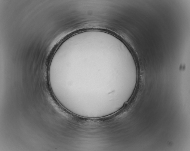 X0000110690981200907021929