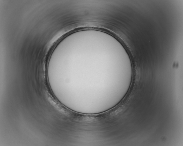 X0000110690982200907021929